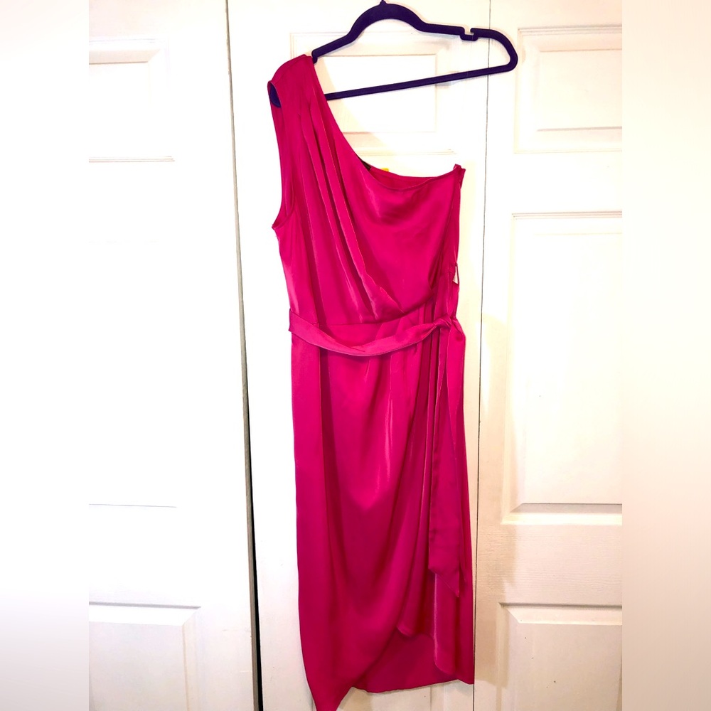 NWT- Pretty Garden Dress With Removable Sash